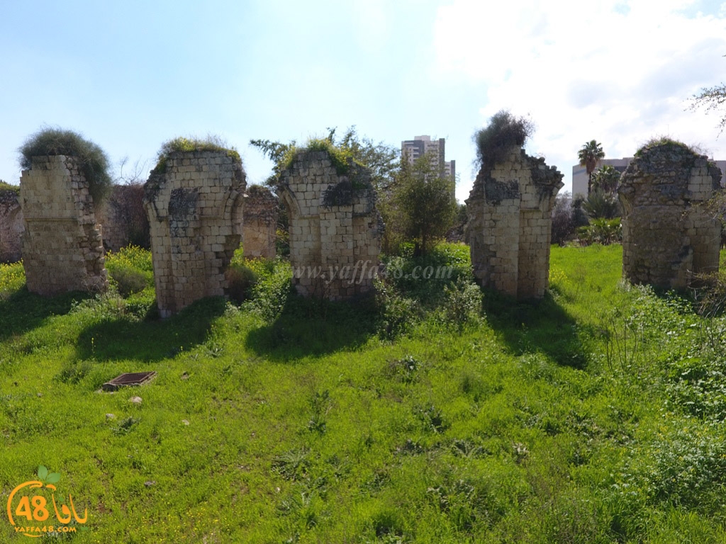 masjed abyad (20).jpg.jpg